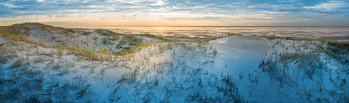 Großes Bild Dünen am Nordseestrand