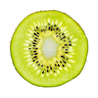 Foto Kiwi groß hochaufgelöst