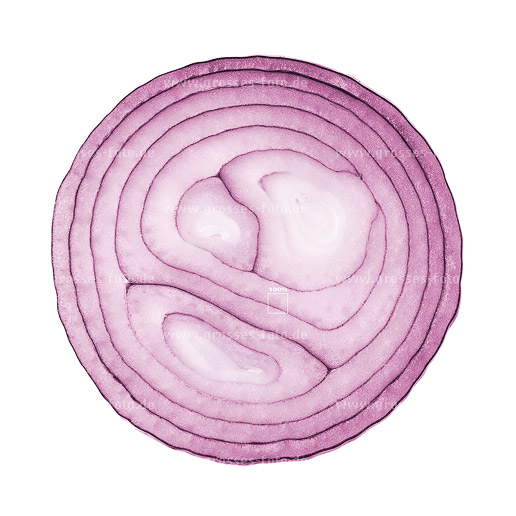 Foto Zwiebel groß hochaufgelöst